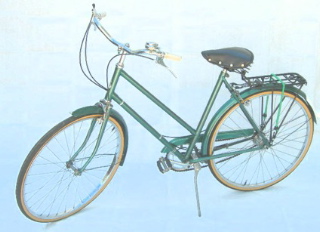 GreenWomensRobinHoodwithRack