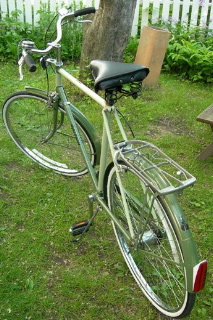 Raleigh_Grass_Celery_Two-ToneRear