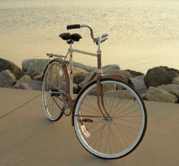 Two-ToneBrownonBeigeRaleigh4_08_1